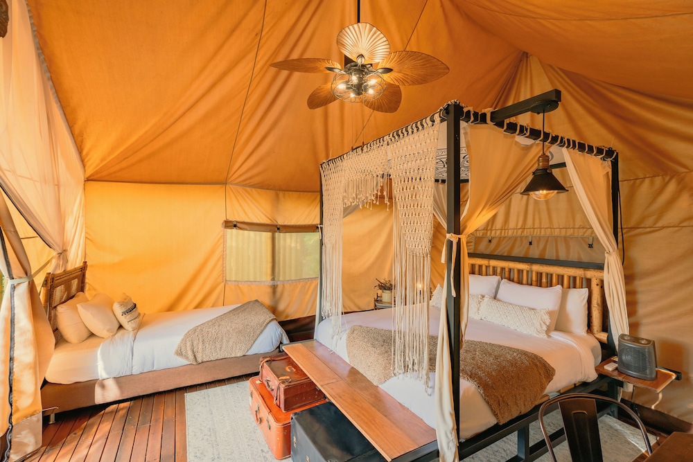Safari Lux 2 - Photo 3
