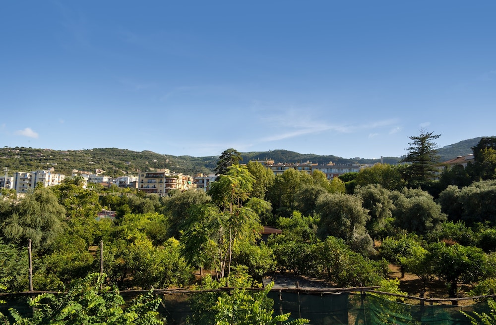 Deluxe Room, Balcony, Garden View - Photo 3
