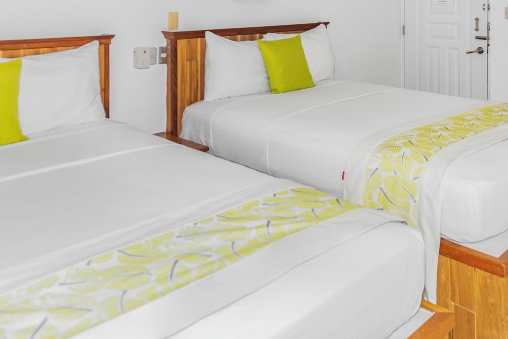 Double or Twin Room photo 1