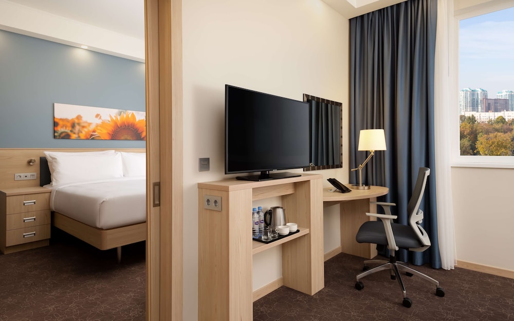 Room, 1 King Bed with Sofa bed, City View photo 3
