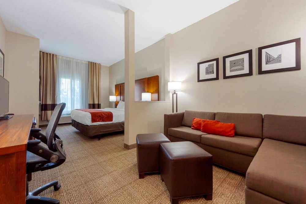 Suite, 1 King Bed with Sofa bed, Accessible, Non Smoking