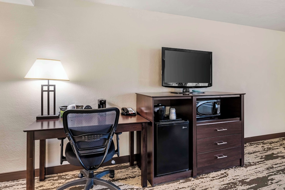Deluxe Room, 1 King Bed, Non Smoking, Refrigerator & Microwave - Photo 2