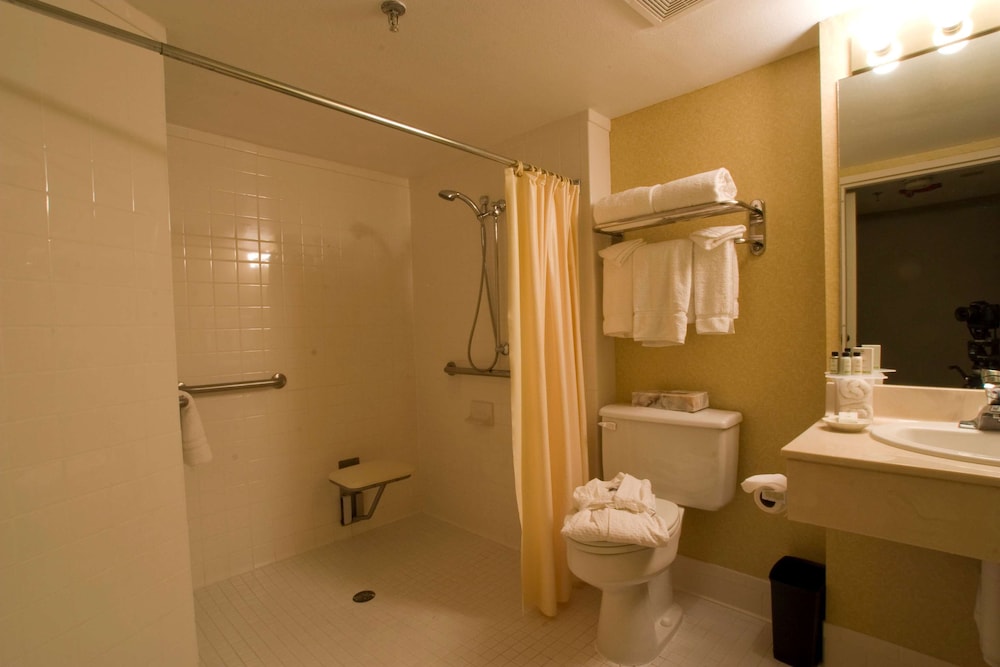 Suite, 1 King Bed, Accessible (Roll-in Shower)