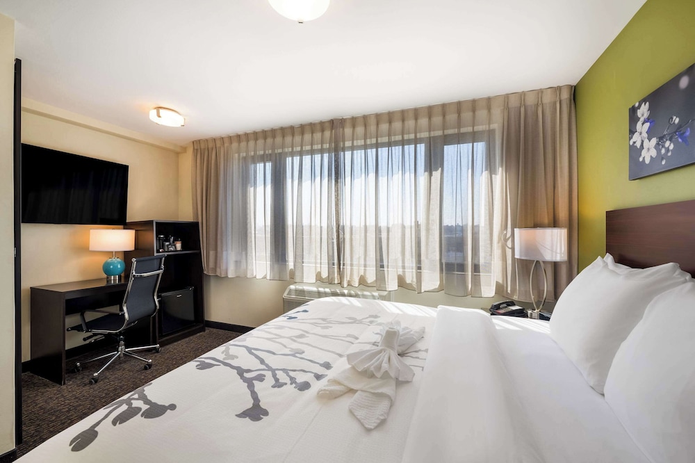 Room, 1 King Bed, Accessible, Non Smoking photo 3