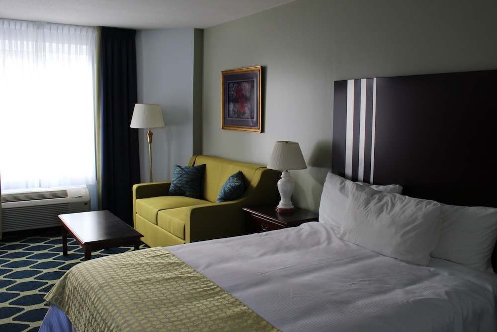 Standard Single Room, 1 Queen Bed Non Smoking photo 2
