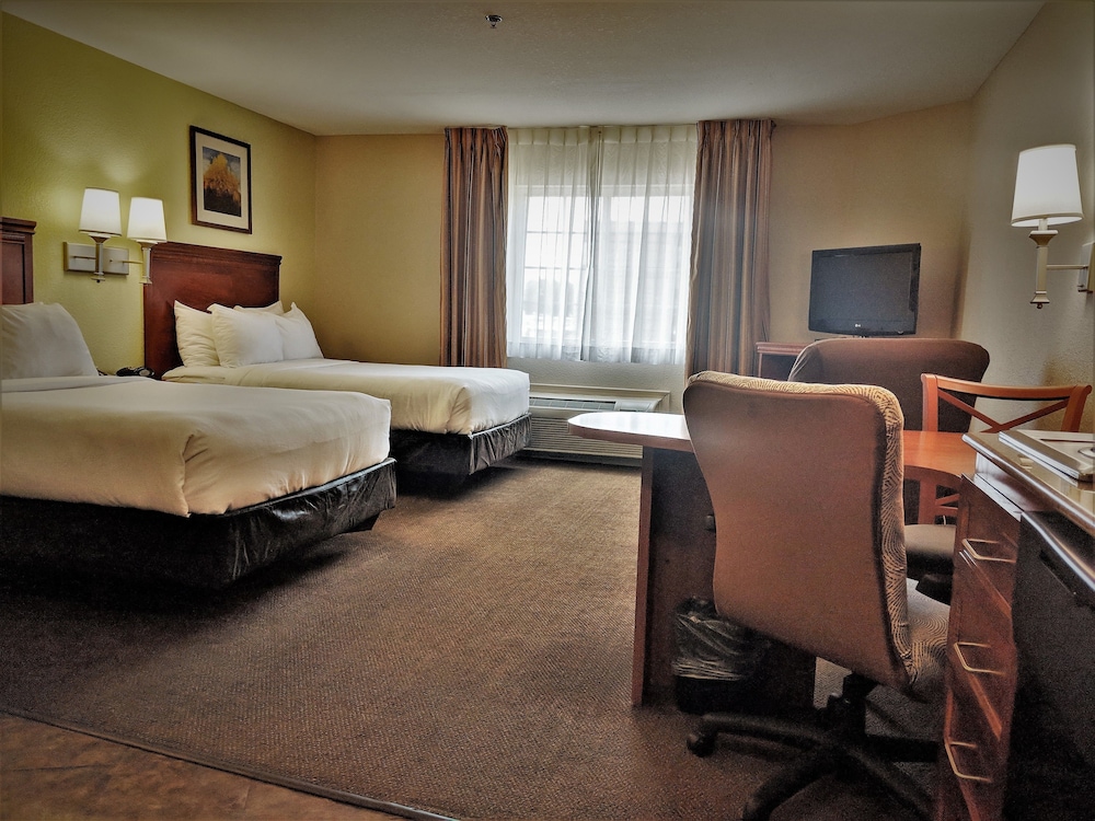 Studio Suite, 2 Double Beds - Photo 4