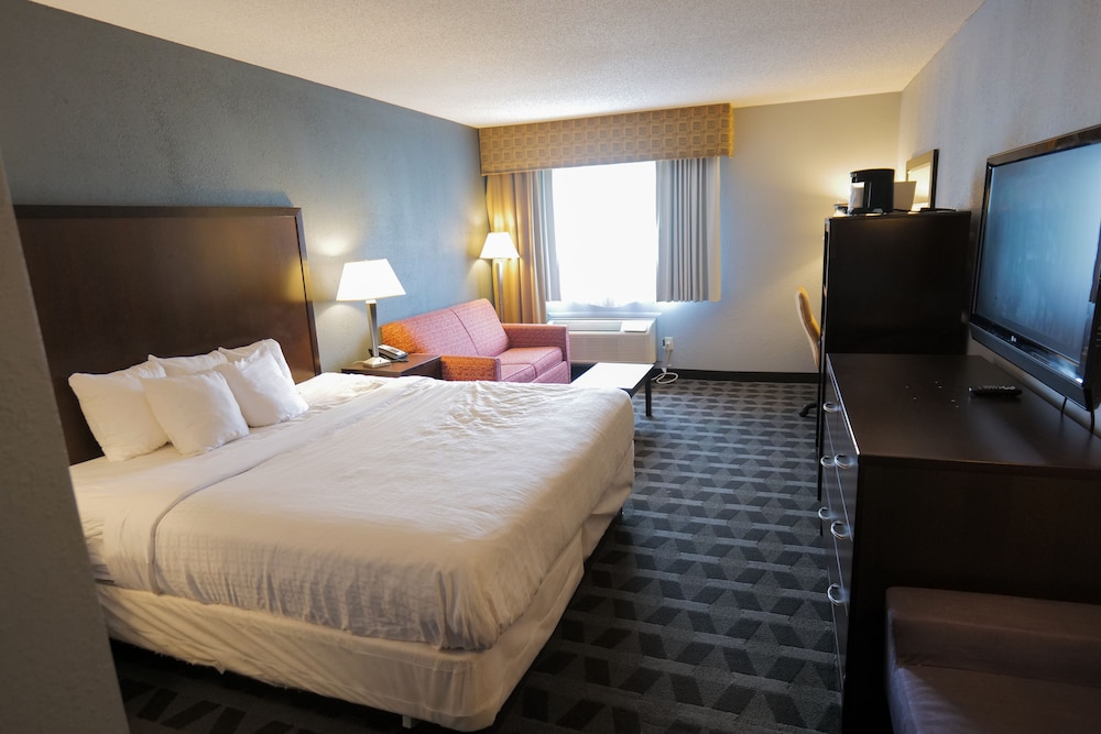 Suite, 1 King Bed, Non Smoking - Photo 11