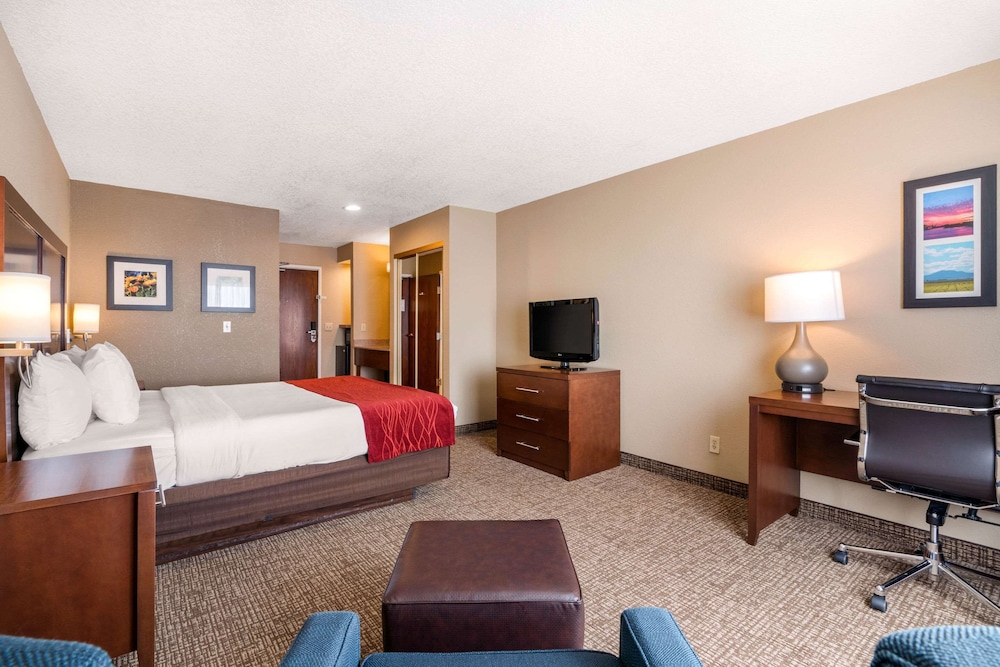 Standard Room, 1 King Bed, Non Smoking - Photo 4