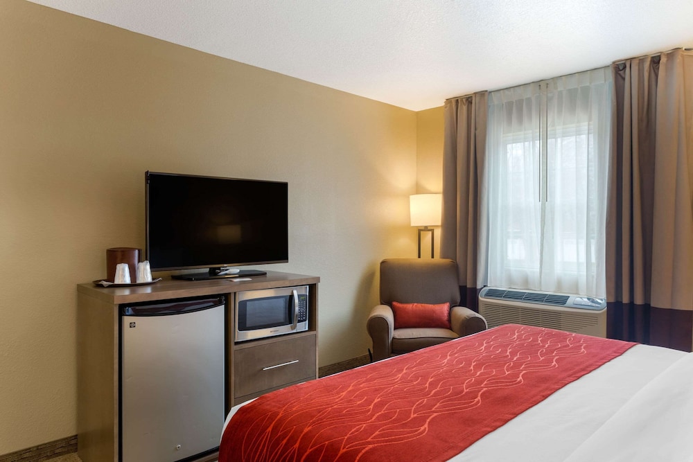 Room, 1 King Bed, Accessible, Non Smoking - Photo 3