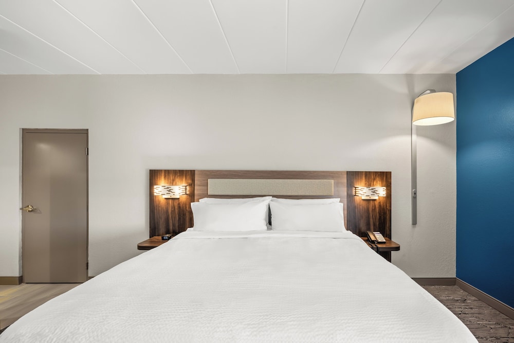 Suite, 1 King Bed - Photo 1