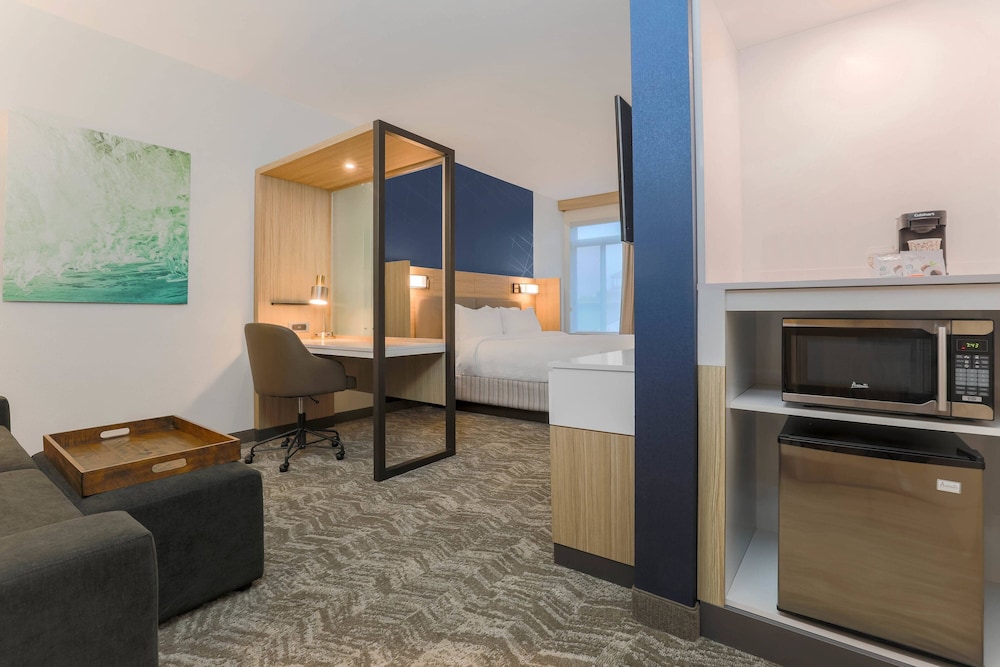 Studio, 1 King Bed, City View (Mobility/Hearing Access, Roll-In Shwr) photo 1