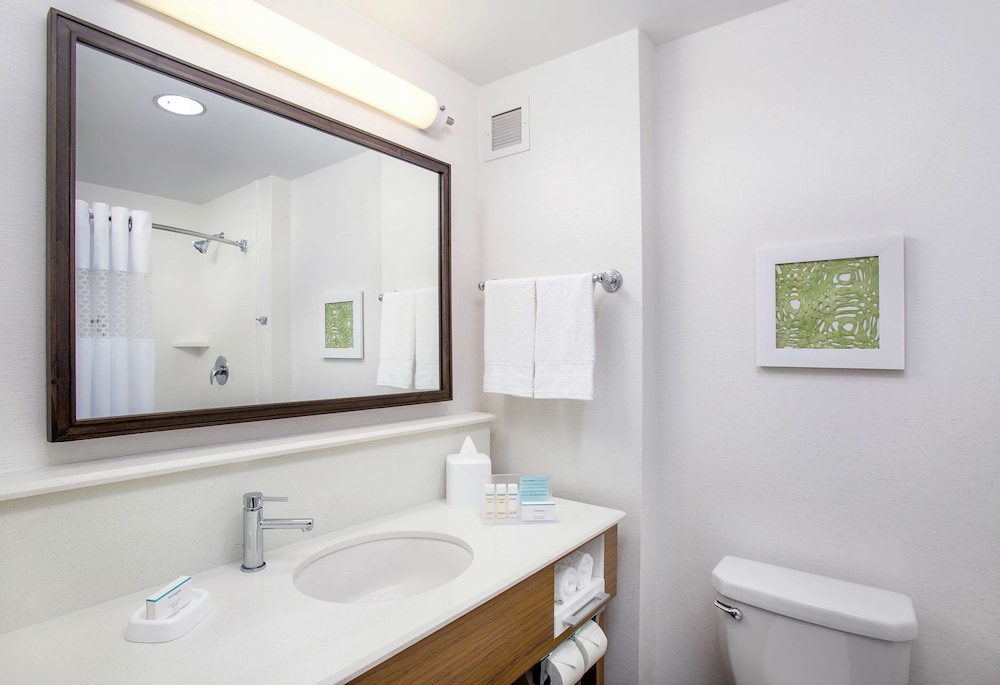 Studio, 1 King Bed, Accessible, Non Smoking (Mobility & Hearing, Roll-in Shower)