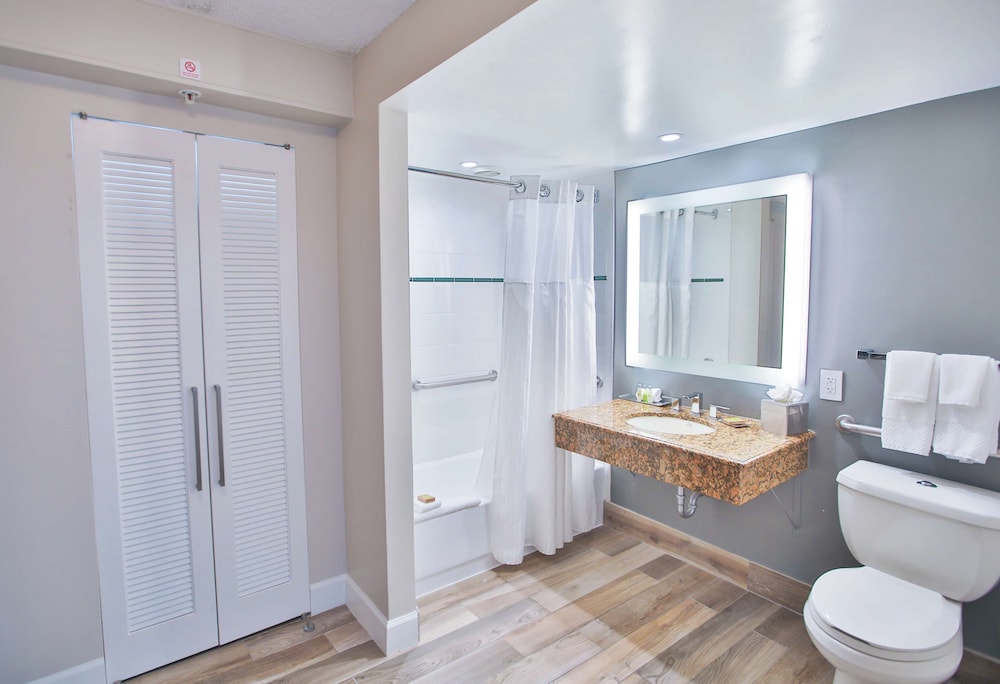 Room, 1 King Bed, Accessible, Non Smoking (Bathtub) - Photo 2