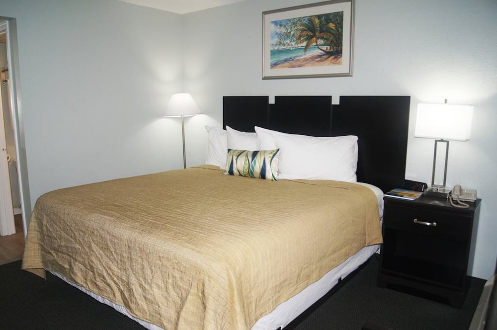 Standard Double Room, 1 King Bed, Non Smoking, Refrigerator & Microwave photo 1