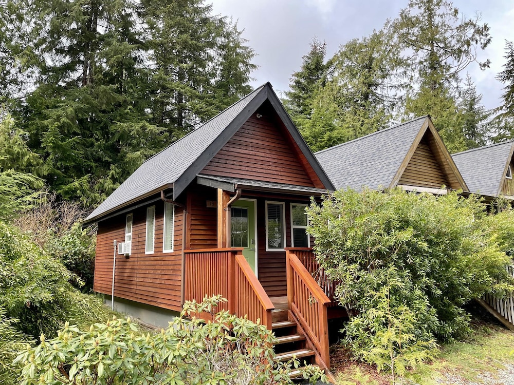 House (Great Couples Cabin centrally located) photo 3