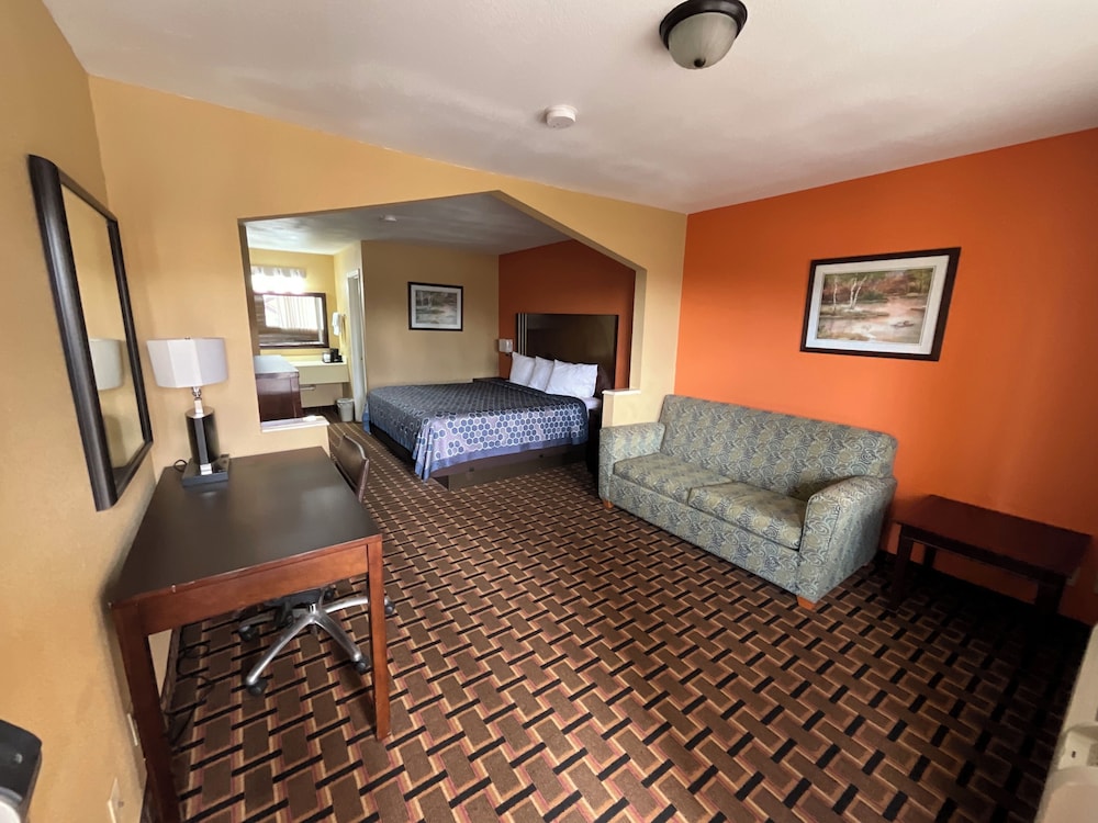 Single Room, 1 King Bed