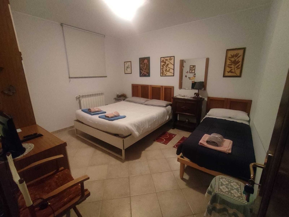 Basic Room photo 1
