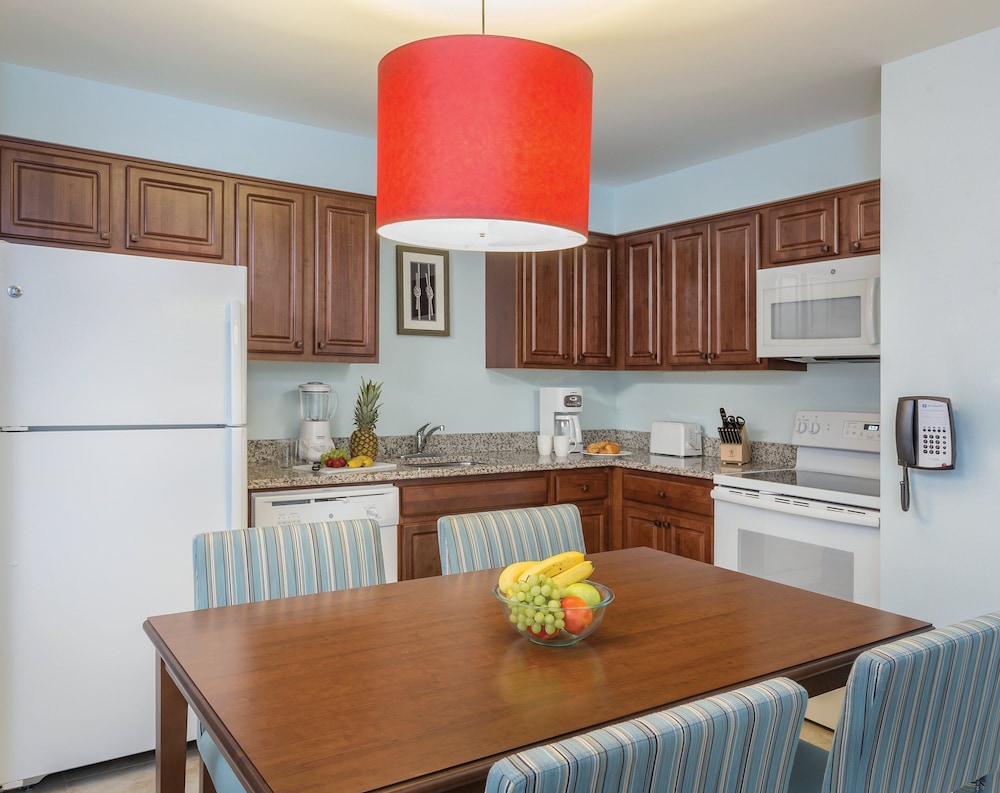 Deluxe Condo, 1 Bedroom photo 3