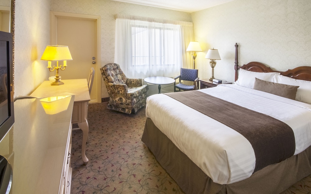 Economy Room, 1 Double Bed photo 1