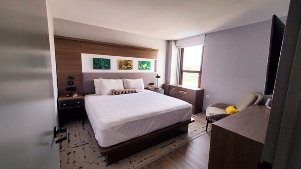 Suite, 1 Bedroom, Accessible (Communications Accessible) - Photo 2