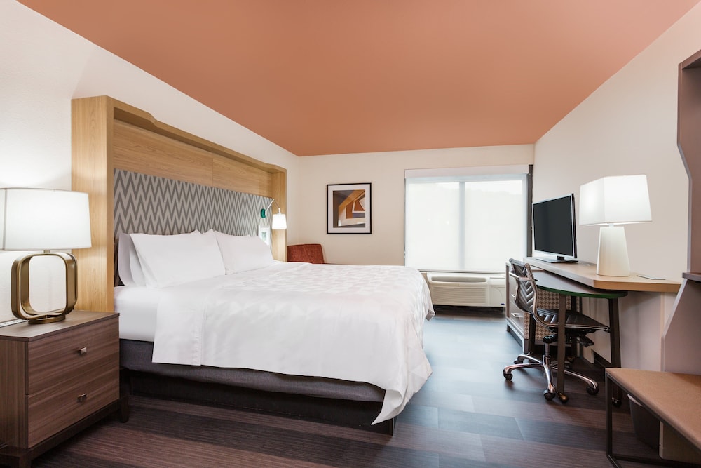 Standard Room, 1 King Bed, Accessible (Communications Accessible) - Photo 3