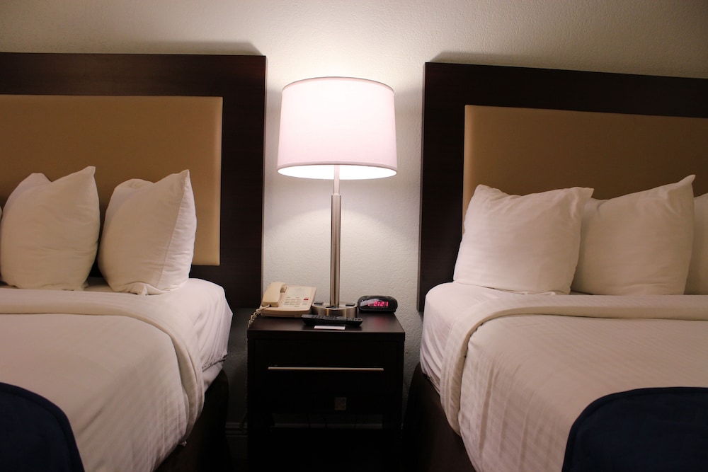 Premium Double Room, 2 Double Beds - Photo 3
