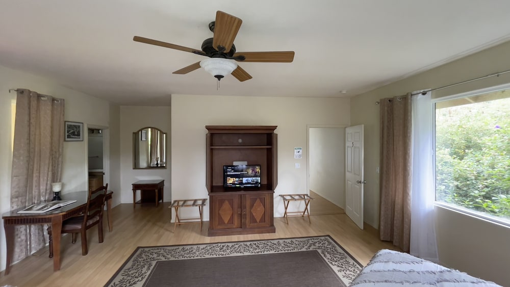 Room (Botanical) - Photo 13