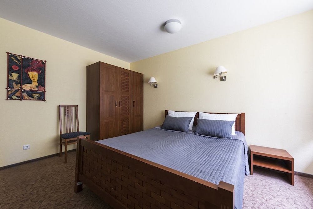 Deluxe Double Room photo 2