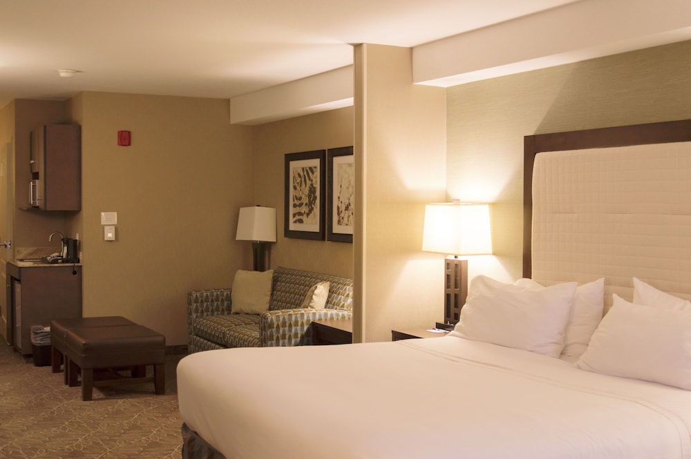 Suite, 1 King Bed, Accessible (Communications) - Photo 1