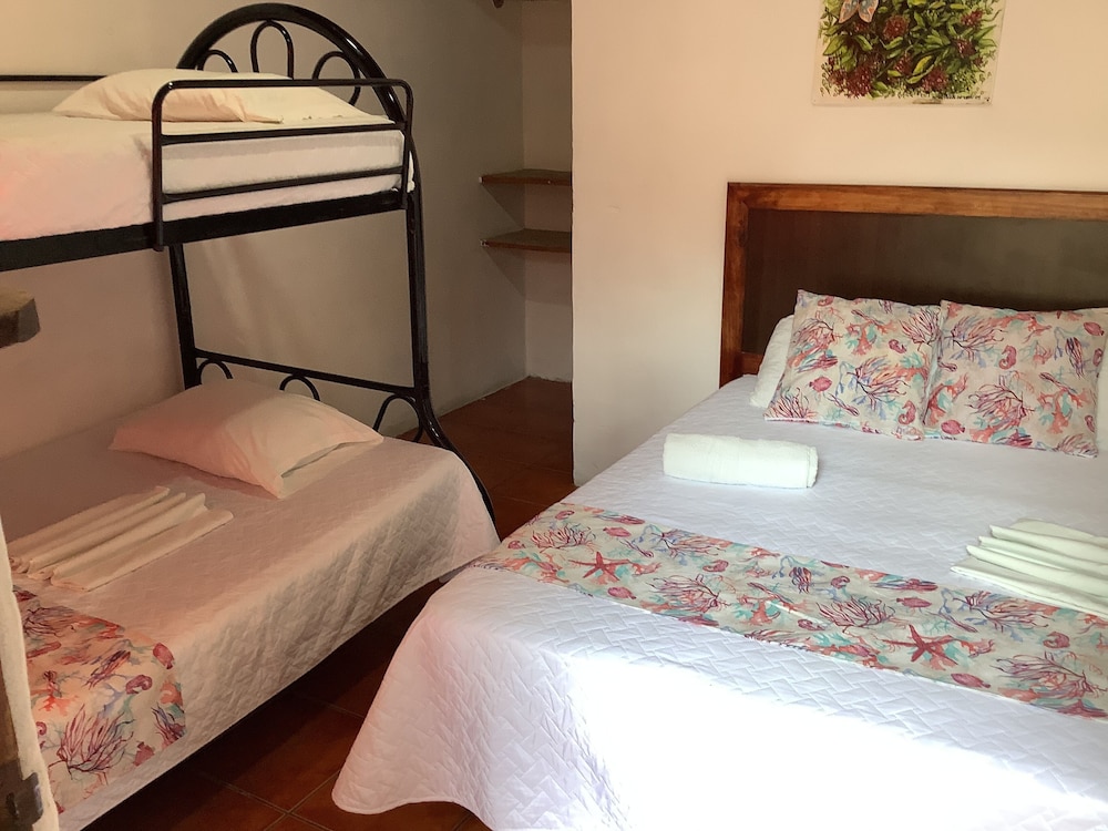 Quadruple Room, Multiple Beds photo 2