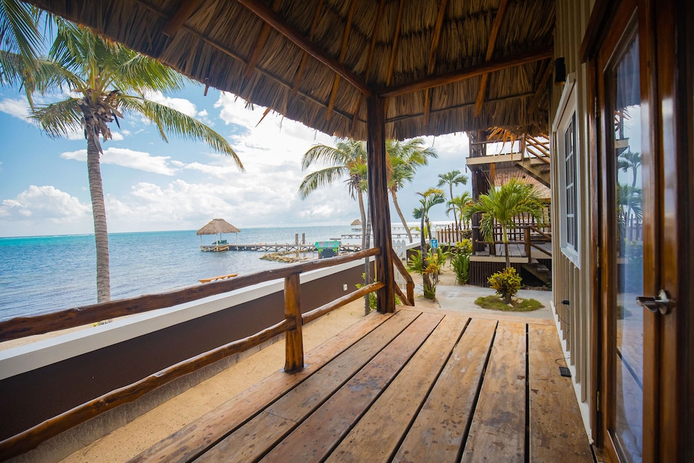Executive Villa photo 3