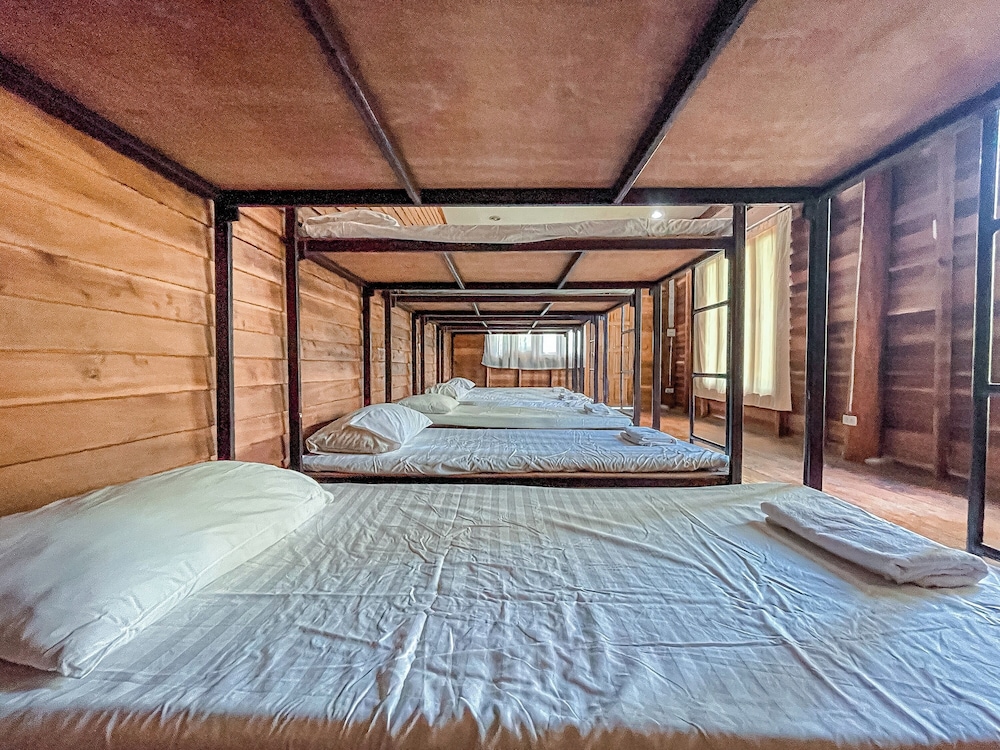 Shared Dormitory photo 3
