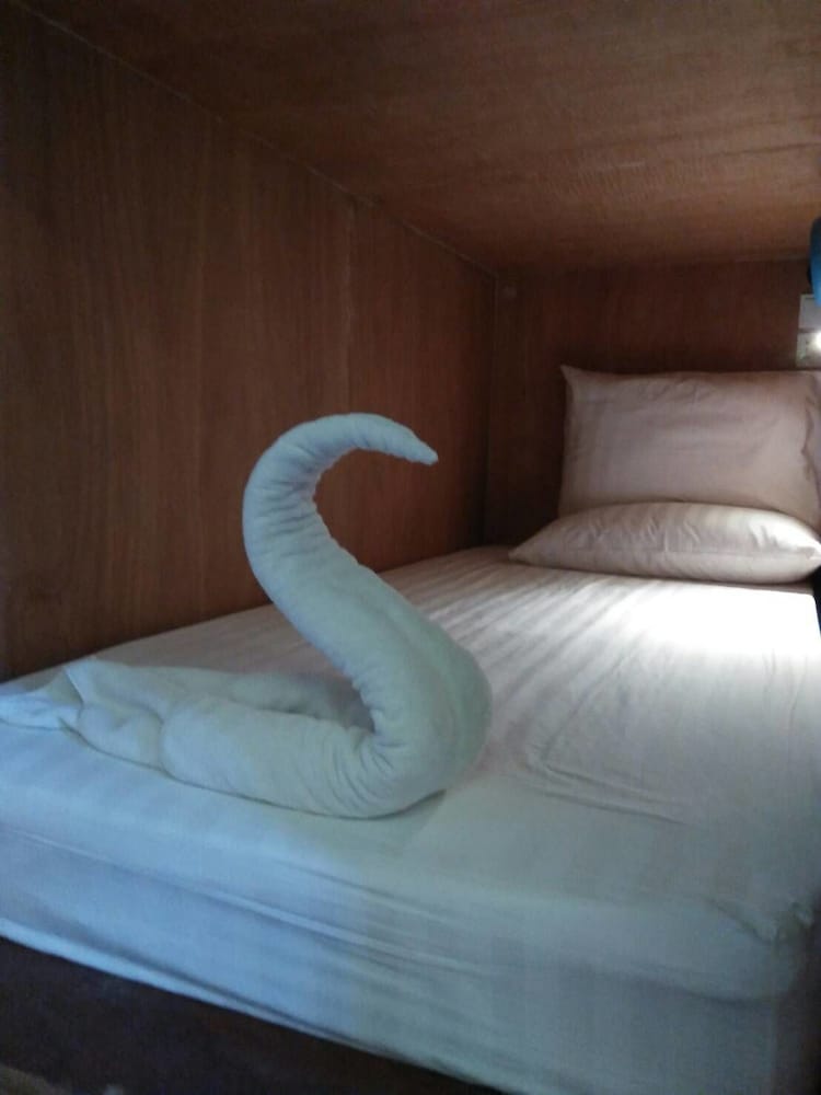 Shared Dormitory photo 1