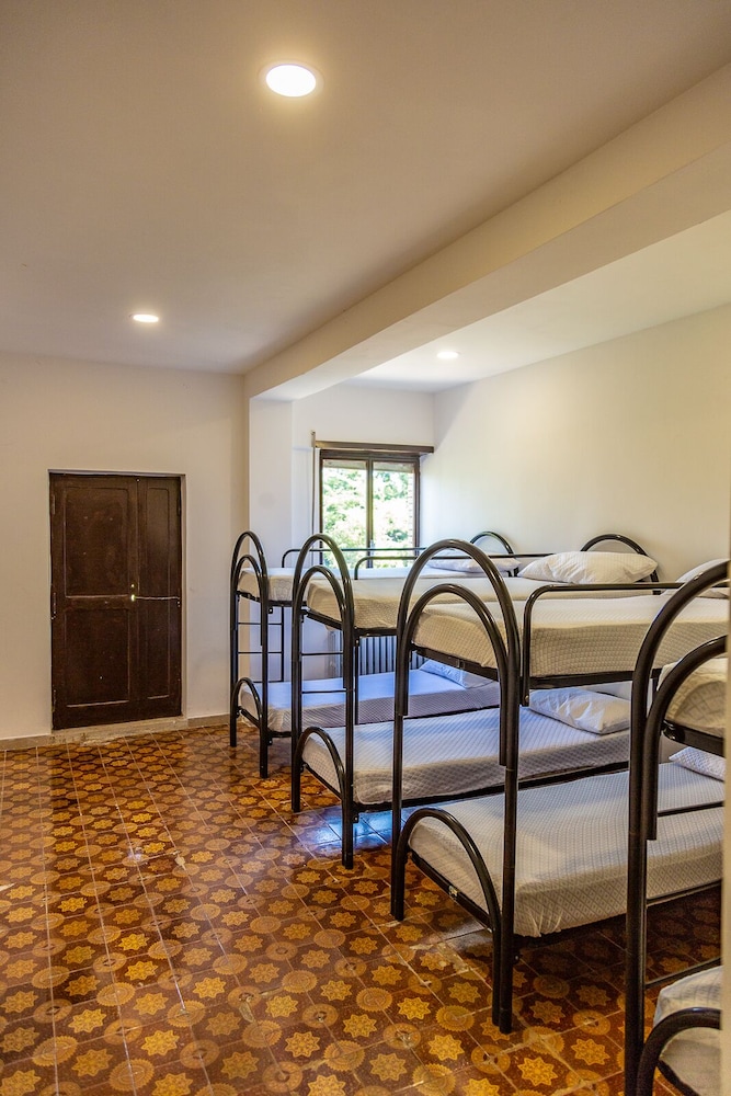 Basic Shared Dormitory photo 1
