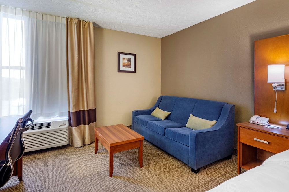 Standard Room, 1 King Bed with Sofa bed, Non Smoking - Photo 7
