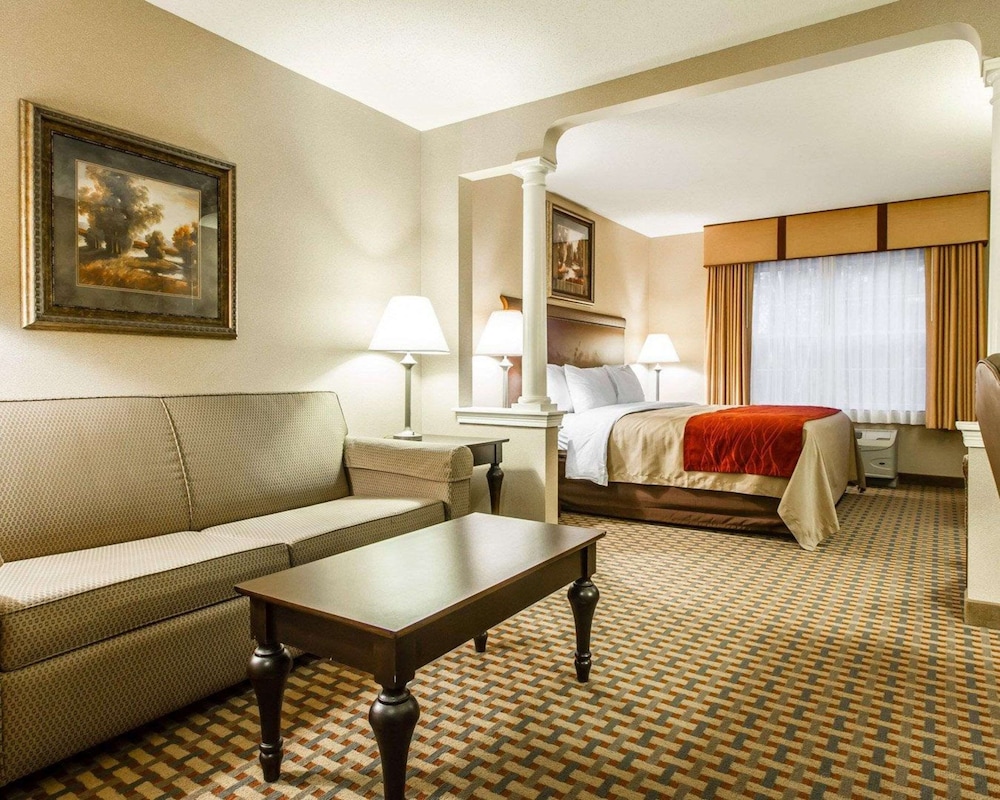 Suite, 1 King Bed with Sofa bed, Non Smoking - Photo 4