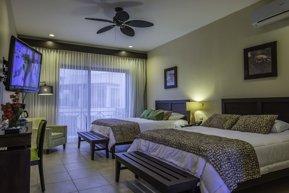 Standard Twin Room, Pool View photo 1