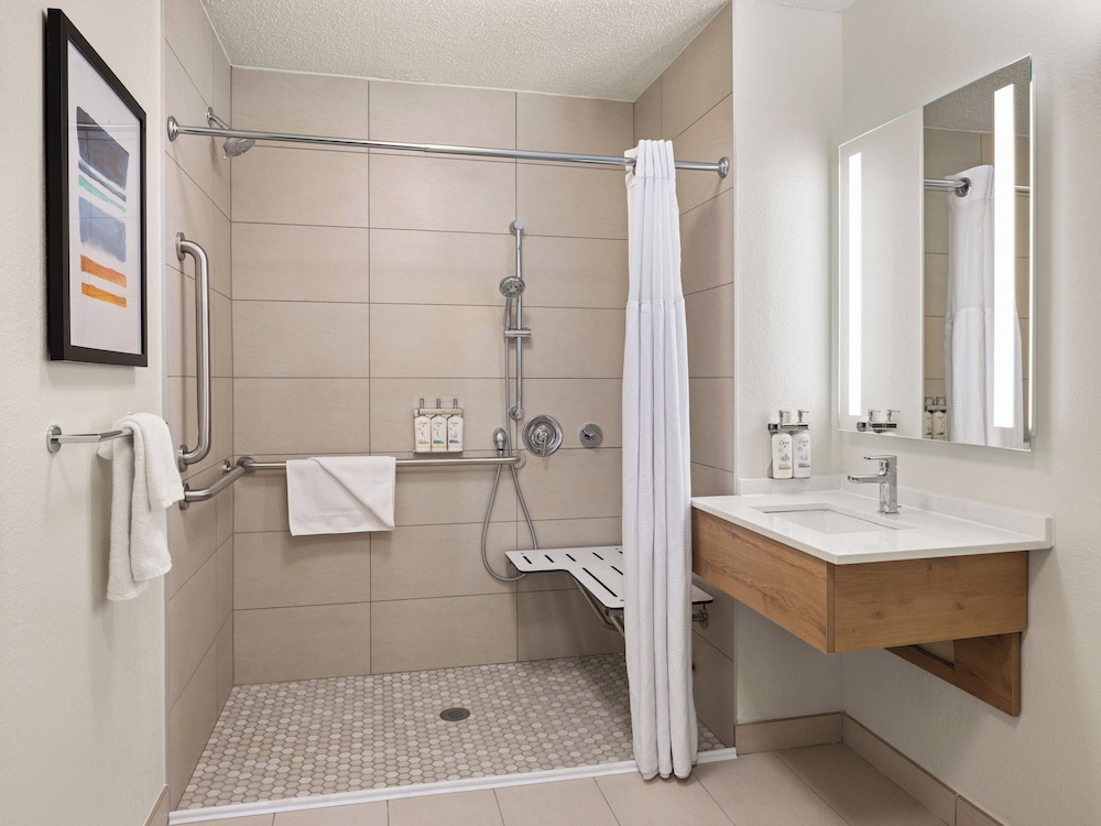 Suite, 1 Bedroom, Accessible (Mobil Roll Shwr) - Photo 4