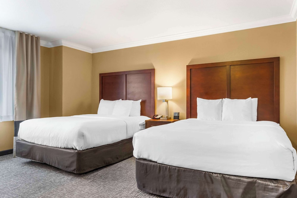 Suite, Multiple Beds, Accessible, Non Smoking photo 3