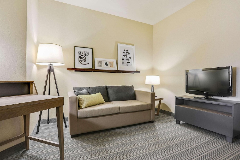 Studio Suite, 1 King Bed with Sofa bed, Non Smoking - Photo 6