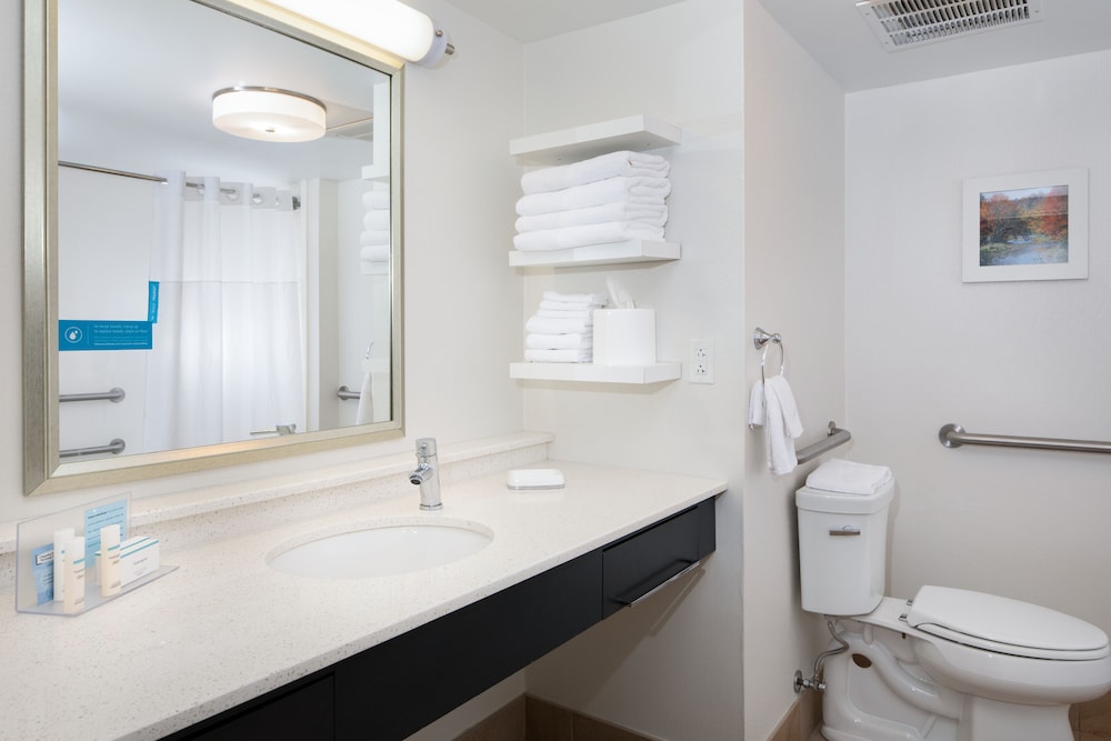 Room, 1 King Bed, Accessible (Mobility & Hearing, Roll-in Shower) - Photo 6