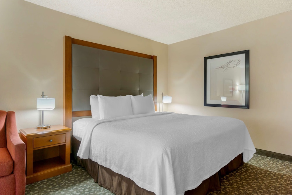 Standard Room, 1 King Bed, Refrigerator & Microwave, Ground Floor photo 1