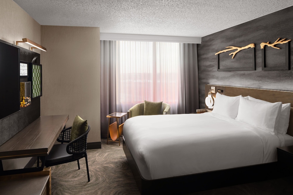 Room, 1 Queen Bed (Mobility/Hearing Access, Roll-In Shwr) - Photo 1