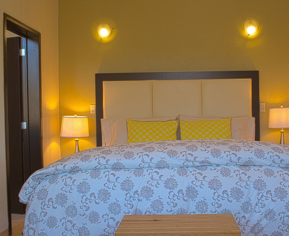 Executive Studio Suite, 1 King Bed, Accessible, City View photo 1