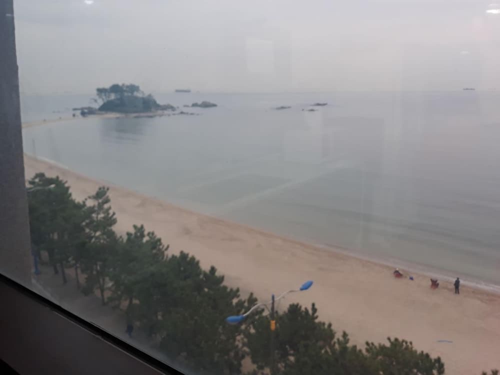 Deluxe Suite, 1 Bedroom, Ocean View photo 3