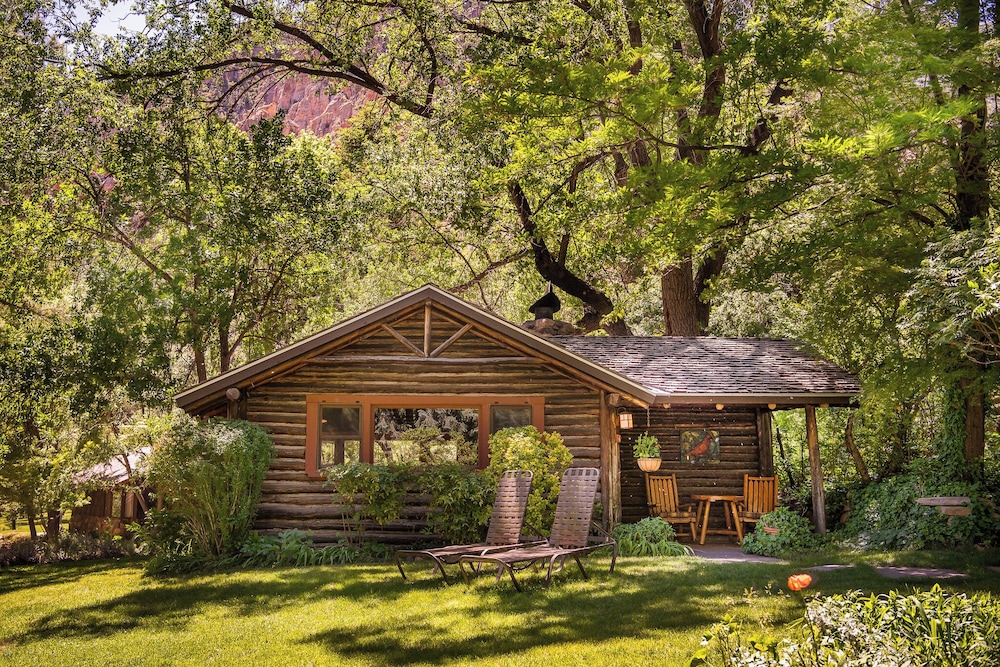 Cabin 6