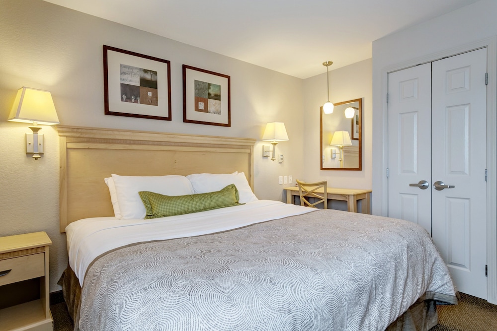 Suite, 1 Bedroom - Photo 8