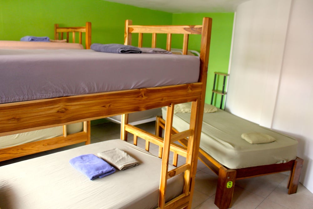 Shared Dormitory, Women only, Shared Bathroom photo 1