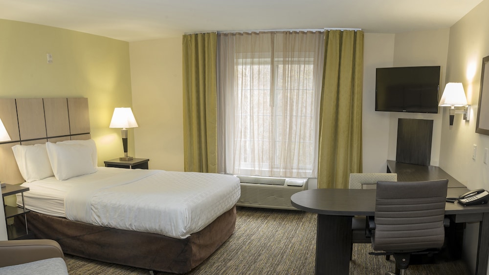 Studio Suite, 1 Queen Bed, Accessible Bathtub (Mobility) - Photo 3