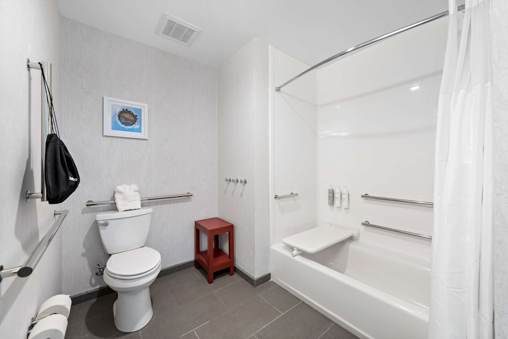 Room, 1 King Bed, Accessible (Roll-In Shower) - Photo 4